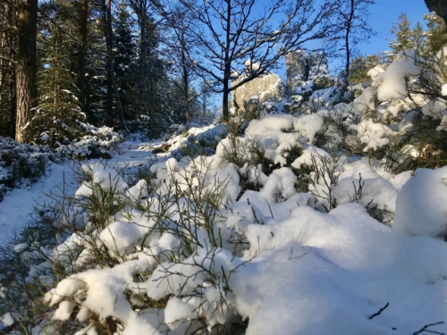 Winterlandschaft am großen Pfahl Viechtach Bayern