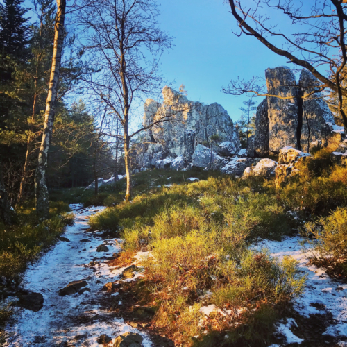 großer Pfahl in Viechtach Bayern