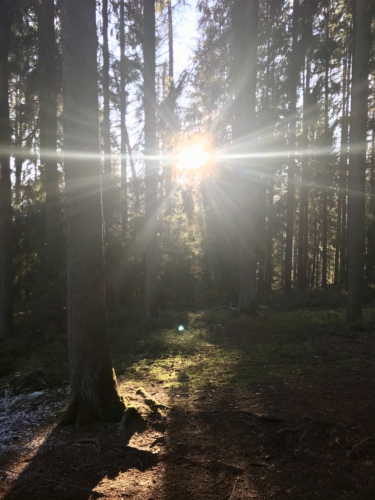 Sonnenschein am großen Pfahl Viechtach Bayern