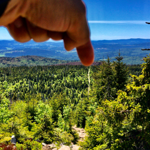 Der lange Weg zum Lusen im Nationalpark Bayerischer Wald