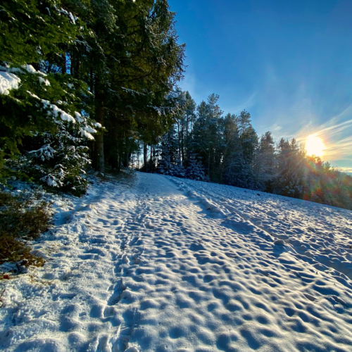 Sonnenschein in Viechtach Bayern