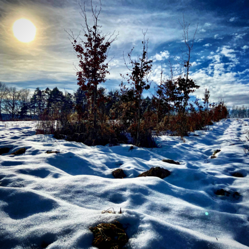 Dürre im Winter Viechtach Bayern